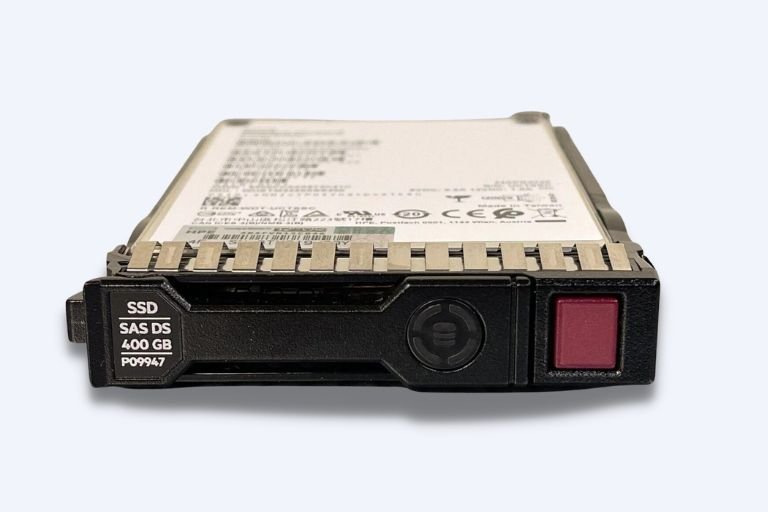 SAS Write intensive SSD (WI)